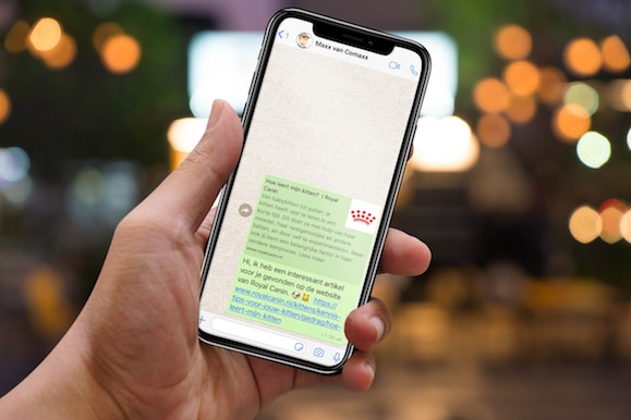 Whatsapp message Royal Canin